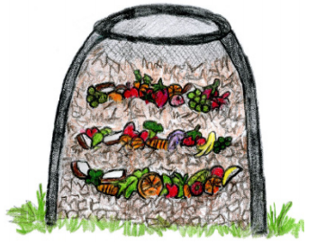 Compost Awareness Week 2020