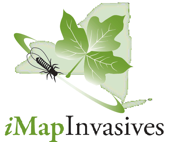 Invasive Species Awareness Week: Found an Invasive Friday