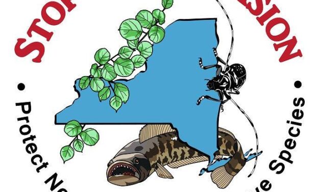 Invasive Species Awareness Week: They’re on the Move Thursday