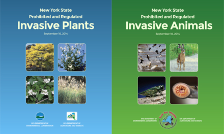 Invasive  Species Awareness Week: Terrestrial Tuesday