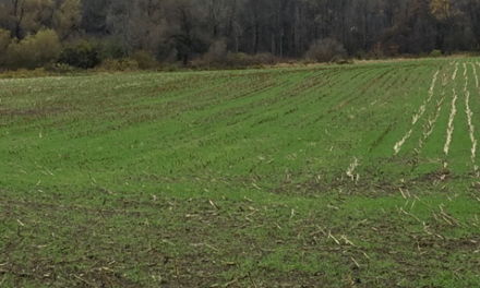 Funding for Cover Crops – Try it Now!!