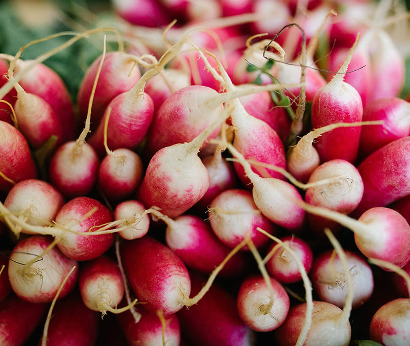 CORTLAND COUNTY SWCD RECEIVES URBAN AGRICULTURE CONSERVATION GRANT